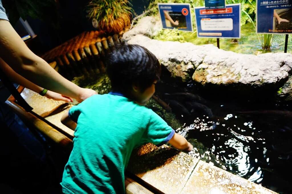 井の頭自然文化園、水生物園の様子