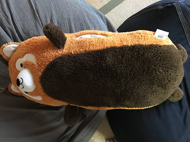 買った当時の貴重な写真