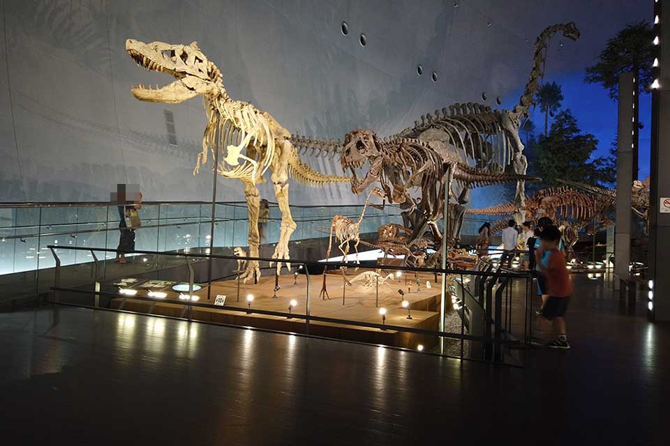 福井県立恐竜博物館の展示